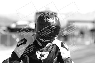 media/Feb-23-2025-2WTD (Sun) [[9604a77d5d]]/1-Around the Pits/